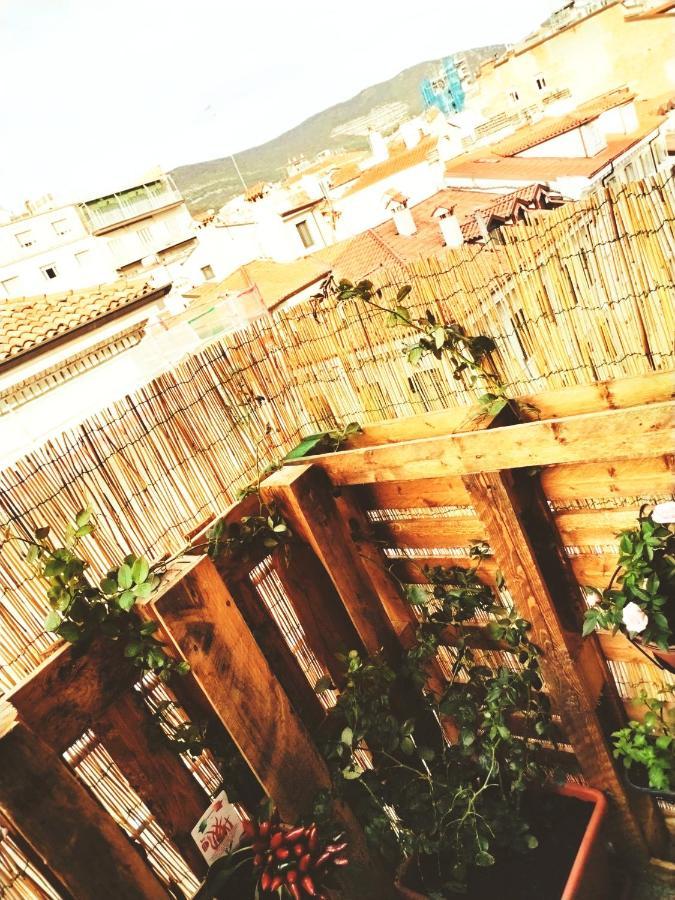 טריאסטה B&B I Filoksenia מראה חיצוני תמונה